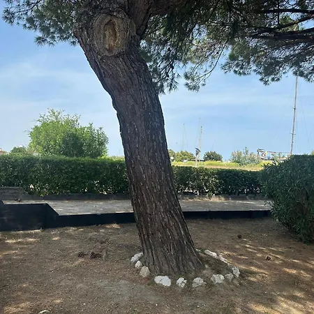 La Terrazza Sul Delta